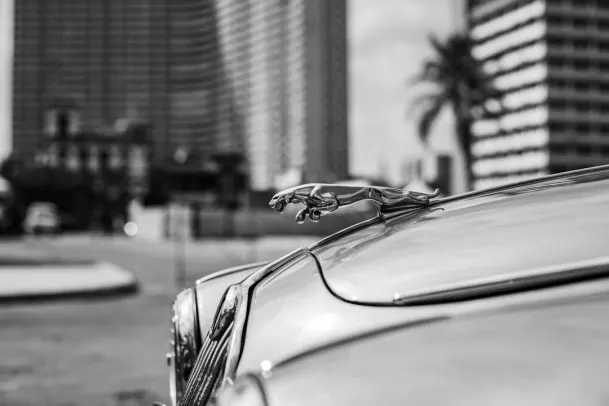 Casino Loony Bingo Android/iOS rakendus